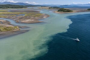 how estuaries mix fresh and salt water