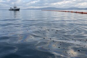 how dispersants work on oil spills