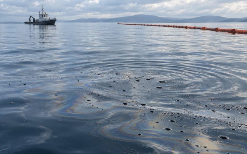 How Dispersants Work on Oil Spills: A Practical Guide (2026)
