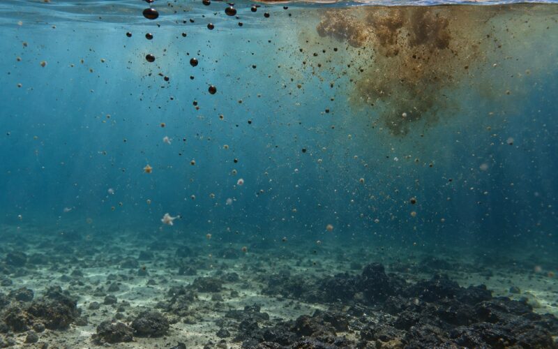 How Oil Behaves on Seawater Over Time (October 2026)